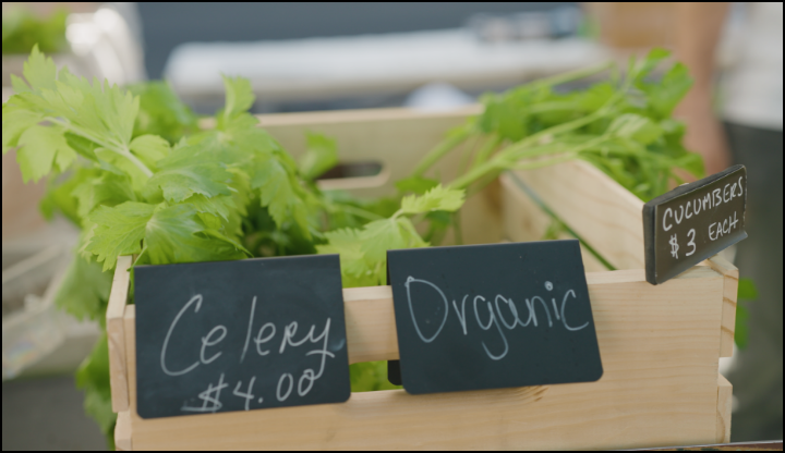 Organic Celery and Cucumbers For Sale