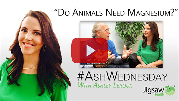 Do Animals Need Magnesium? | #AshWednesday