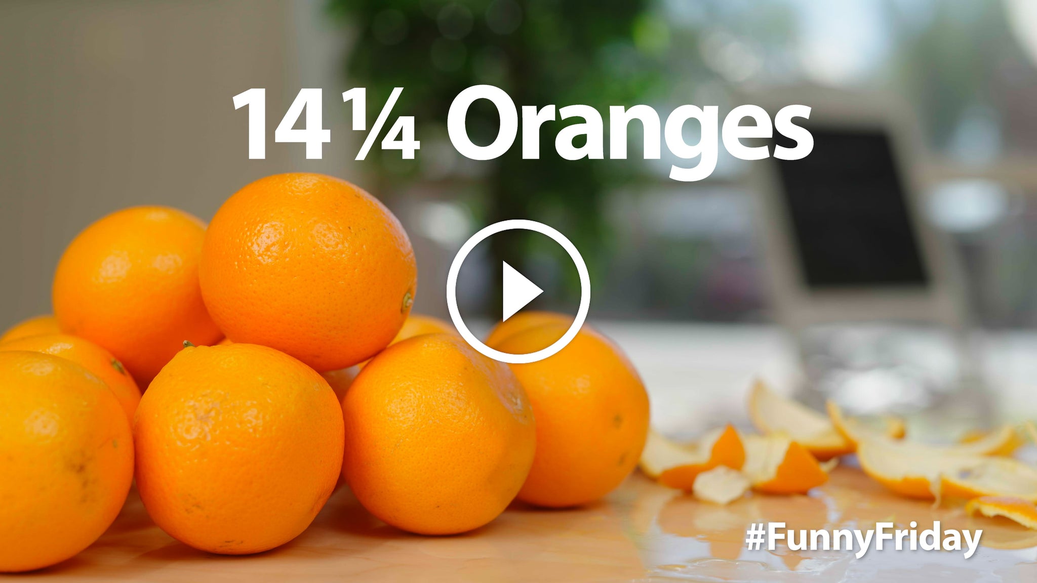 14 & 1/4 Oranges | #FunnyFriday