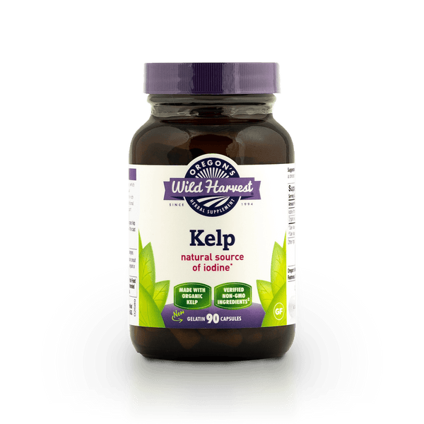 Kelp iodine for outlet thyroid