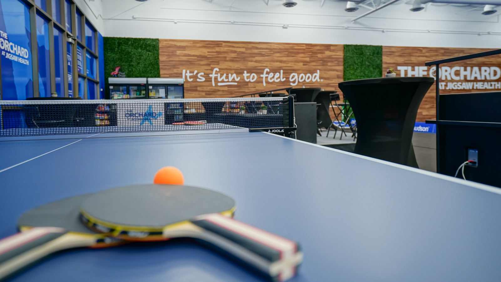 PingPong table with paddles in the Orchard